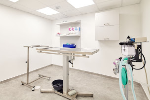 Photo n°11 de Cabinet Vétérinaire Argos Paris Avron à Paris (Vétérinaire)