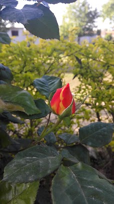 Zaffar Park mansehra