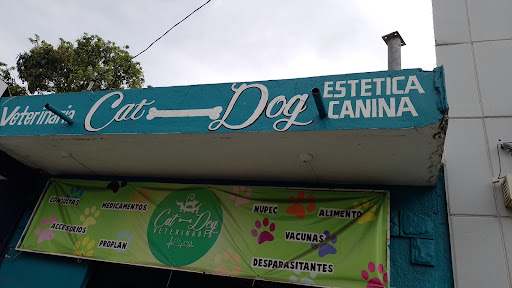 Veterinaria Cat-dog