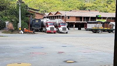 Photos of Hotel la floresta