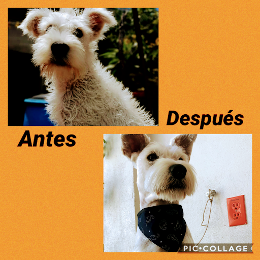 Veterinaria HICAN