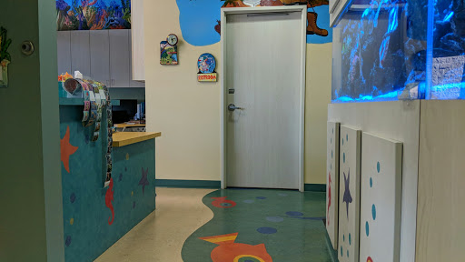 Under the Sea Dentistry for Kids - Thumbnail
