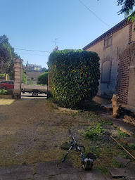 Photo n°9 de Artisan Michelet à Joigny (Service d'élagage)