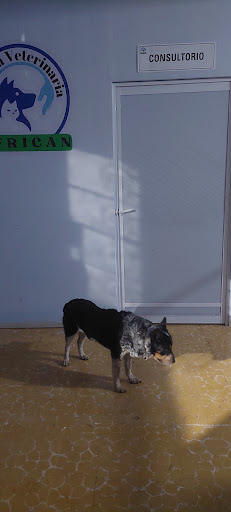 Clínica veterinaria Africán