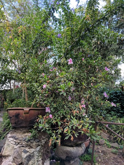 Photos of Finca Los Nietos