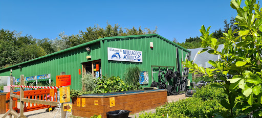 Blue Lagoon Aquatics