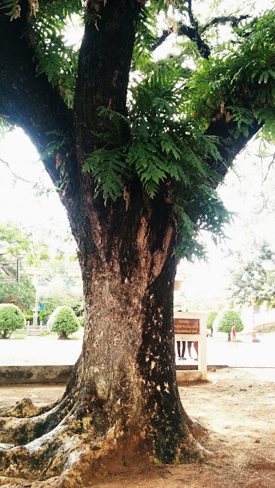 Photos of Phsar Leu Primary School