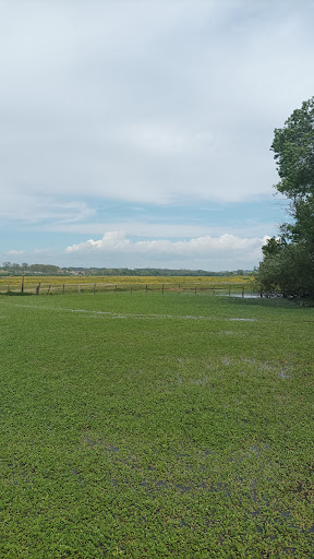 Les Barthes de Rivière-Saas-et-Gourby - Thumbnail