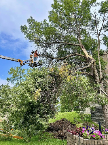Borga Tree and Ground Care