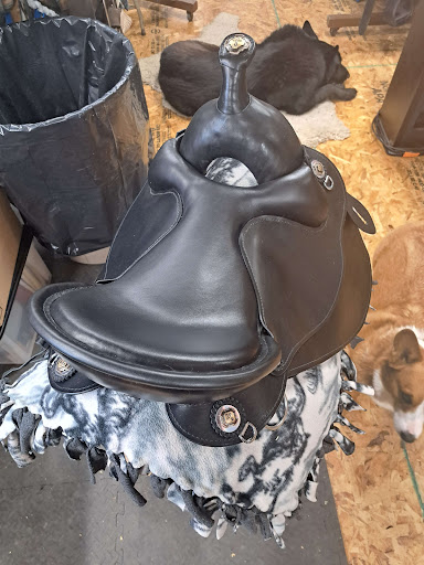 Evolutionary Saddles LLC - Thumbnail