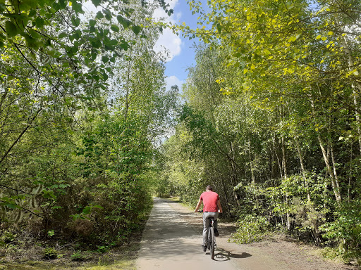 Trans Pennine Trail Conisbrough - Thumbnail