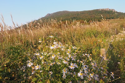 Photos of Mudeungsan