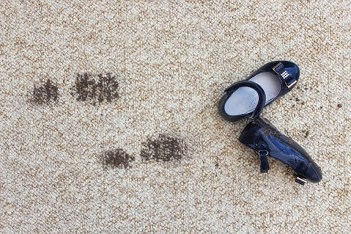 Braxton Cleaning Solutions Gallery - United States