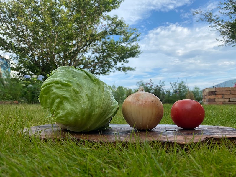 ダイヤモンドダスト カフェ
