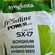 Syngenta Pakistan LTD rahim-yar-khan