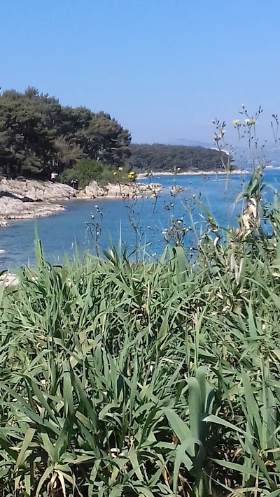 Photos of Marjan