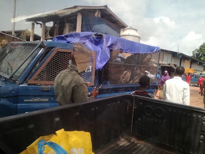 Photos of Fishing port