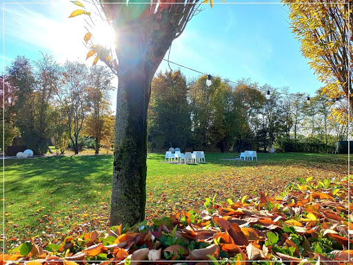 IL TESORO SPA - Visual