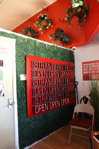 Strawberry Fields - Visual