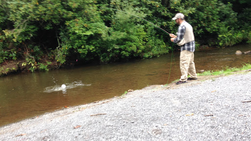 Clinch Mountain Wildlife Management Area - Thumbnail