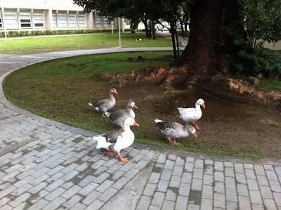 Photos of Universidad del Magdalena