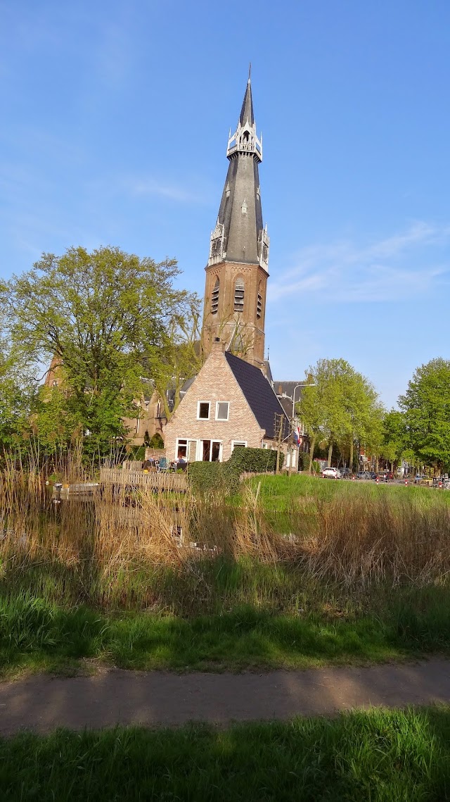 Amsterdam Forest