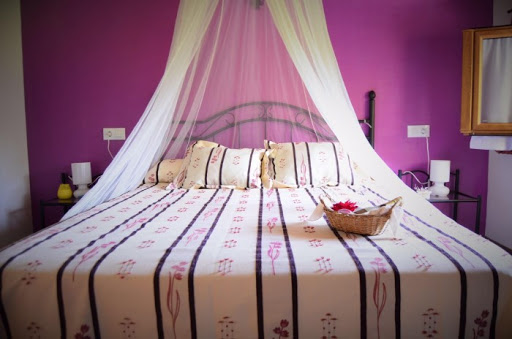 La Galayca - Visual