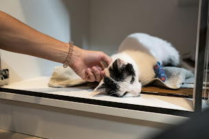 Photo n°20 de Clinique Vétérinaire des Coquelicots à Lagnieu (Vétérinaire)