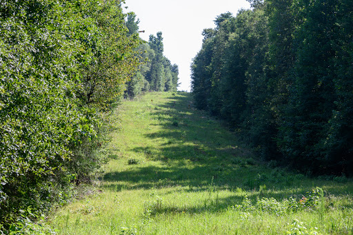 Broad River Wildlife Management Area - Thumbnail