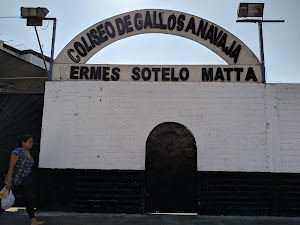 Coliseo de Gallos 