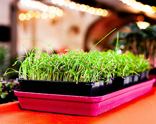 Photo n°5 de Koumaï à La Grand-Combe (Restaurant végétalien)