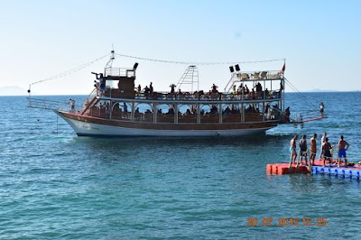 travel-agency