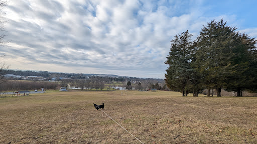 Woodsboro Park - Thumbnail