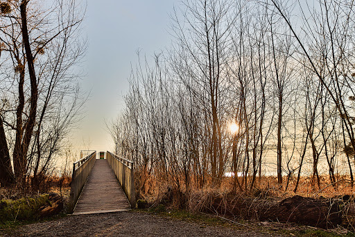 Aussichtsplattform OST Eriskircher Ried - Thumbnail