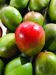 Photo n°19 de ESPACE FRUITS HALLUIN à Halluin (Primeur)