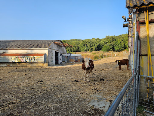 Agripunk ONLUS - Thumbnail
