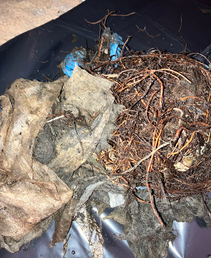 Sewer Solution Pros - Visual