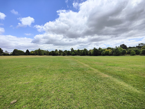 Polo Ground - Visual