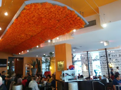 Photos of Oyamel Cocina Mexicana