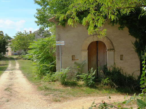 Cappella Paoletti - Visual