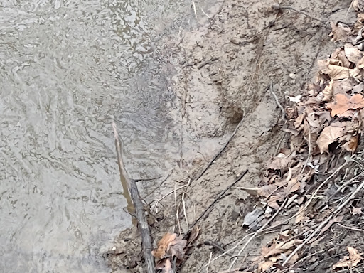 Mill Trail - Visual