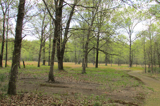 Sandhill Nature Preserve - Thumbnail