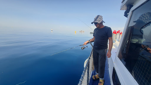 OKHAN ARSLAB KAPTAN BODRUM BALIK AVI RELAKSOL