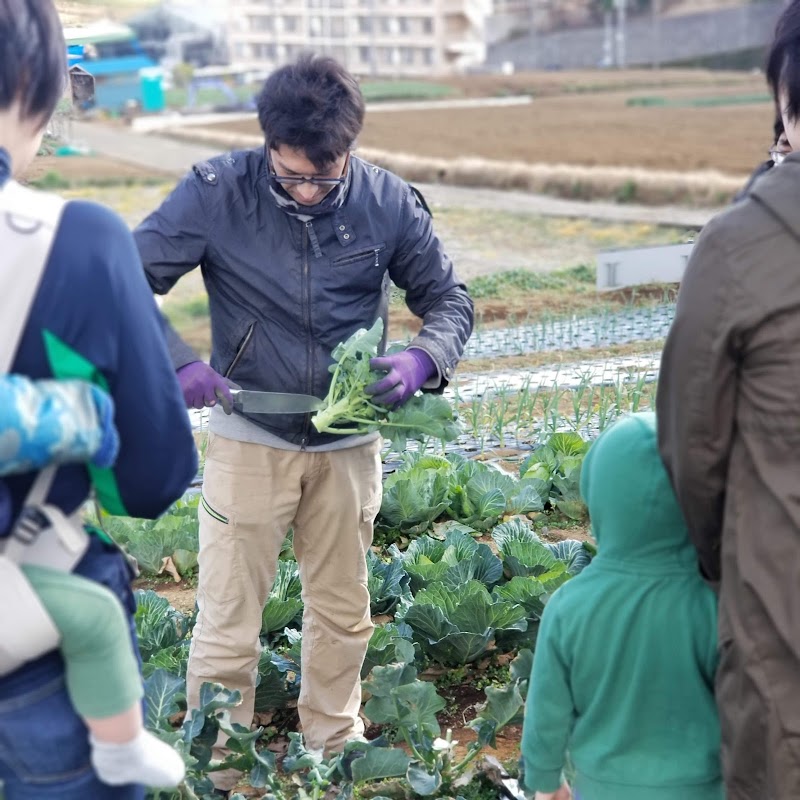 自然菜園 あかね空 空の畑