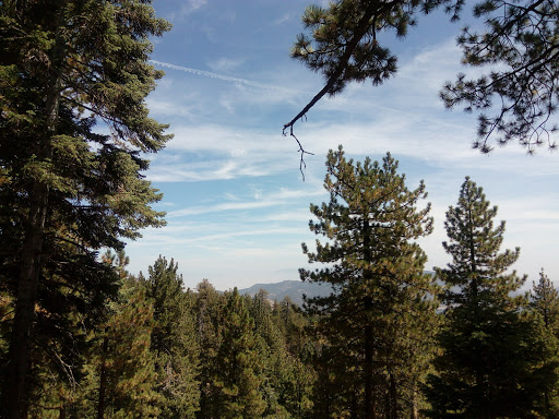 Frazier Park Campsite - Thumbnail