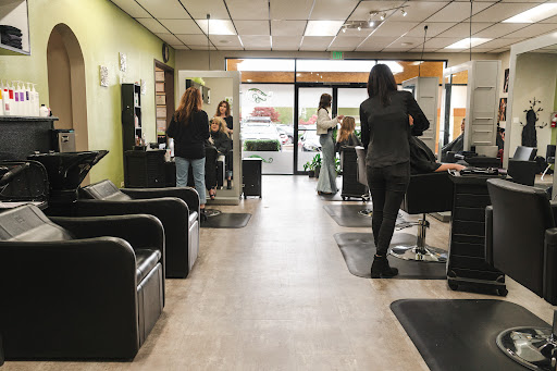 Utopia Salon - Thumbnail