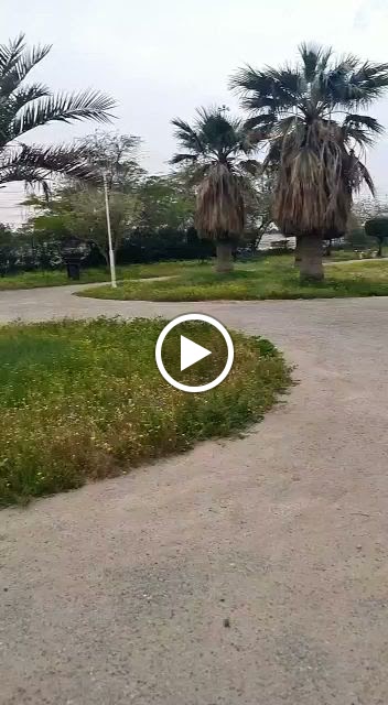 ديوان ابو بدر - صورة 2