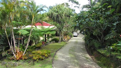 Photos of Lumholtz Lodge
