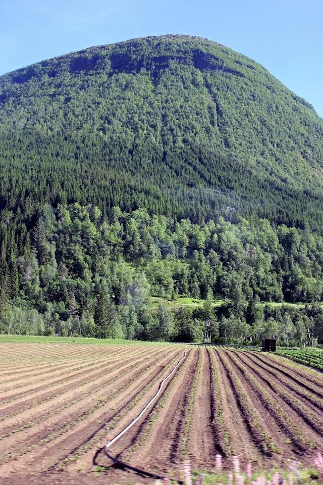 Valldal