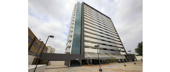 Previsão Contabilidade